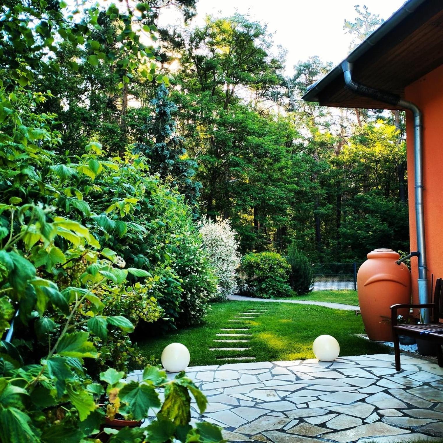 Ferienwohnung Am Waldesrand - Garten, Terrasse, Grill, Luftkuehler, Massagesessel, Kinderspielecke, Spielekonsole Cottbus Dış mekan fotoğraf